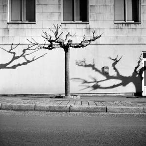 SOLSMINEURS15 copy MARC CELLIER